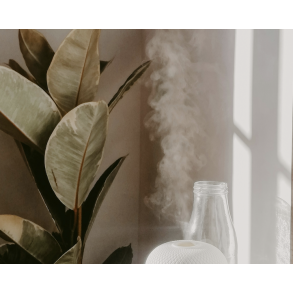 DIFFUSER & DUFTLAMPER