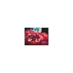 Alteya Organics - Bio Granat�bleolie (50 ml)