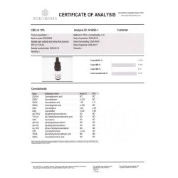 CBD Club High Stalk �kologisk 10% CBD Dr�ber THC-Fri