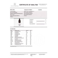 CBD Club Dusty Leaf �kologisk 20% CBD Dr�ber THC-Fri