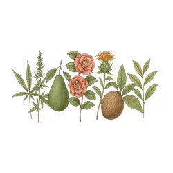 Rejuvenate ansigtscreme (50ml)