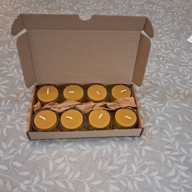 Fyrfadslys af bivoks med glasstage  8 stk