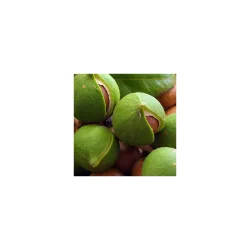 Alteya Organics - Bio Macadamia Olie (50 ml)