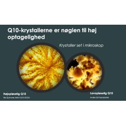 Pharma Nord Bio-Quinone Aktivt Q10 100mg (180 kapsler)